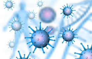 IMMUNOTOXICOLOGY/ IMMUNOLOGY STUDIES