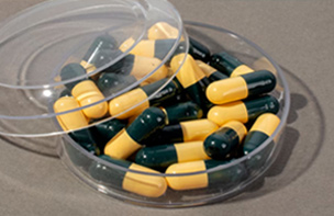 Powder-Filled Capsules